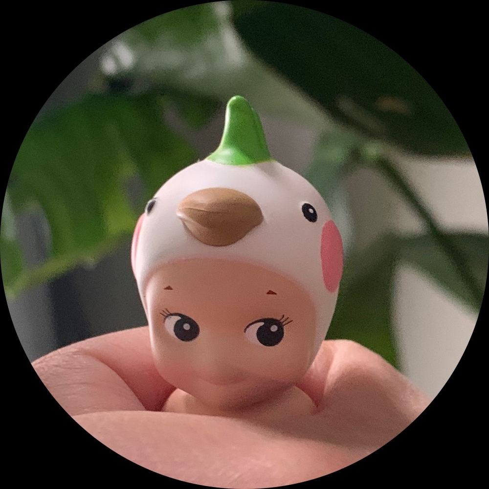 Meet your Posher, Jai